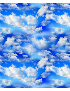 Timeless Treasures Blue Sky