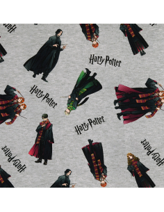 Licensjersey Harry Potter...