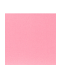 Nylonlaglapp Rosa 19