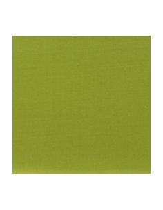 Nylonlaglapp Grön 45