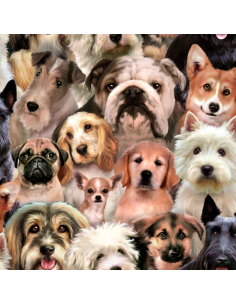 Elizabeths Studio Petpourri...