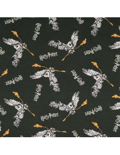 Licensjersey Harry Potter...