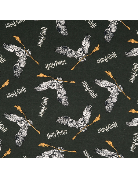 Licensjersey Harry Potter 2005004