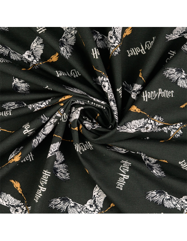 Licensjersey Harry Potter 2005004