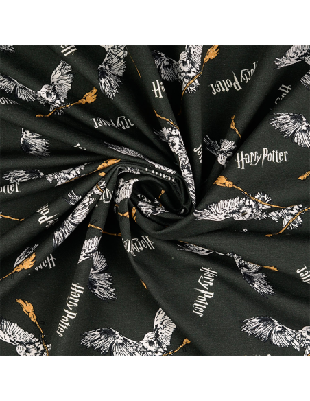 Licensjersey Harry Potter 2005004