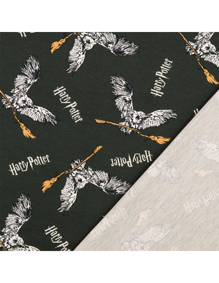 Licensjersey Harry Potter 2005004