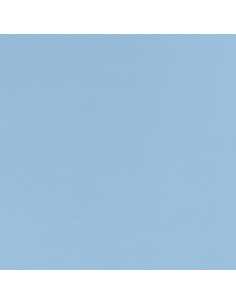 French Terry Maike Ljusblå 154