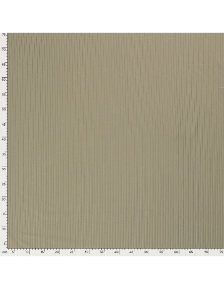 Bomullsjersey Rib Ljus Olivgrön