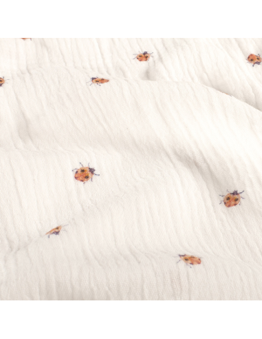 Muslin Ladybug