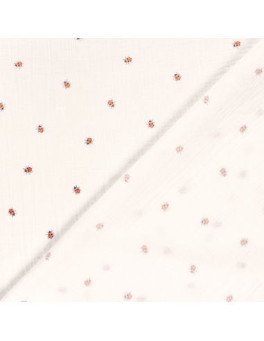 Muslin Ladybug