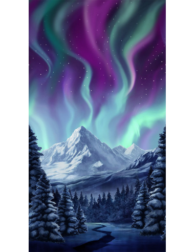 Timeless Treasures Northern Lights Panel