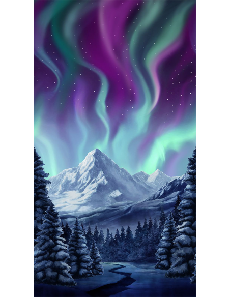 Timeless Treasures Northern Lights Panel