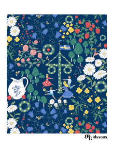 Disktrasa Midsommardans