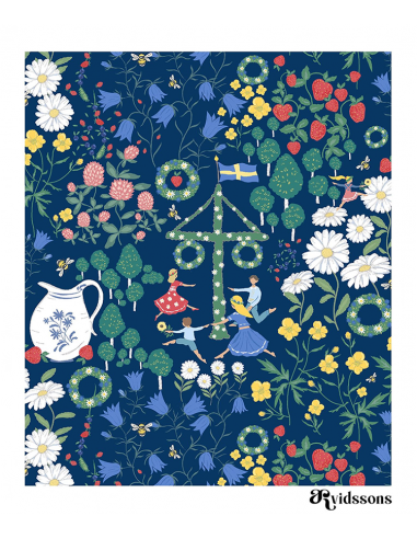Disktrasa Midsommardans