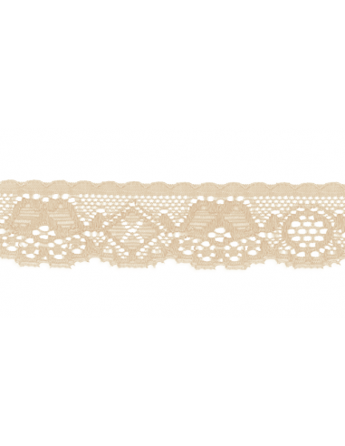 Nylonspets Elastisk 27mm Nude