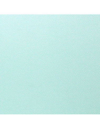Bomullsjersey Little Spring Dots Mint