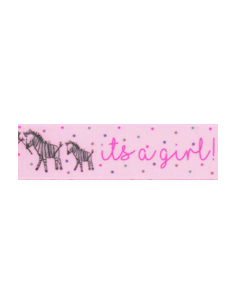 Dekorband "Its a Girl" 2
